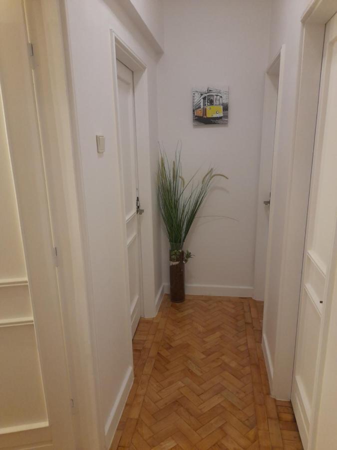 Cozy Central 3 Bedrooms Bragas Porto Kültér fotó